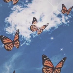 Meet your Posher, Carol